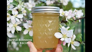 How to Make Apple Blossom Jelly [upl. by Shedd]