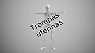 Trompas uterinas medicinauy musicmedicina [upl. by Eceryt]