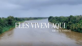 ELES VIVEM AQUI EM SETE BARRAS Documentário [upl. by Viridi654]