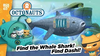 Find the Whale Shark with the Octonauts [upl. by Eelsha98]