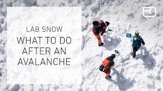 Companion rescue after an avalanche – tutorial 1317 English  LAB SNOW [upl. by Agace]