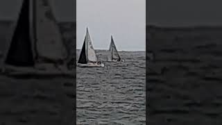 Regata en Algarrobo I [upl. by Nahsyar]