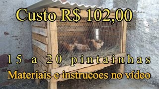 Pinteiro de palete capacidade 15 a 20 pintainhas com 30 dias de vida [upl. by Harehs]