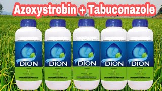 Dion fungicide ।azoxystrobin  Tabuconazole use।।use। price। Dose। [upl. by Cutlor532]