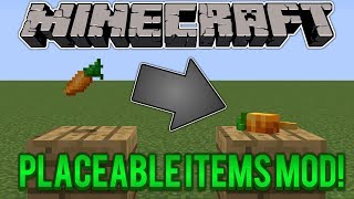 Minecraft Mod Showcase  Placeable Items Mod [upl. by Frendel]