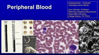 9 Peripheral Blood Lecture [upl. by Gierk]