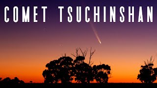 How To See Comet TsuchinshanATLAS Tonight [upl. by Ilamad]