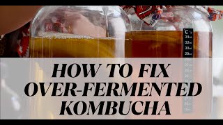 Can You OverFerment Kombucha [upl. by Keung]