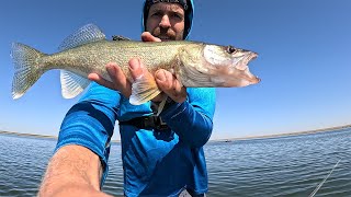 Potholes Reservoir Late Summer Walleye Fishing [upl. by Zenas]