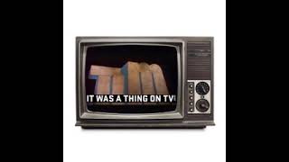 It Was a Thing on TV Episode 442The Tim Conway Show 1980 [upl. by Jehiah55]