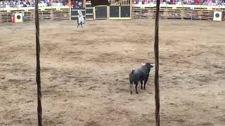 Guillermo Hermoso de Mendoza en el Duelo de rejones en la monumental plaza [upl. by Gwenneth]