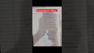 Gluconeogenesis pathway biochemistry 2nd semester bsc nursing shorts viralshorts CHO [upl. by Aiykan125]