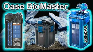 Oase Biomaster Thermo Unboxing and Setup The Best Aquarium Filter [upl. by Mhoj]