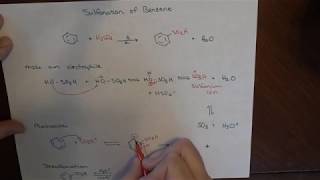 Nitration and Sulfonation of Benzene [upl. by Lenod]