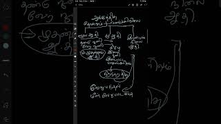 1 types of meristems in Tamil [upl. by Sihunn]