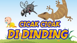 CICAK CICAK DI DINDING  LAGU ANAK [upl. by Trilby]