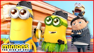 MINIONS The Rise Of Gru  Coffin Dance Song COVER2 [upl. by Azirb369]