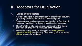 Lecture 7 Pharmacodynamics Receptors for Drug Action [upl. by Leunamne]