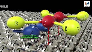 Organic Chemistry Basic to Advanced for NEET Chemistry  Hydrogenation Of Alkenes  NEET 3D Classes [upl. by Ahseet]