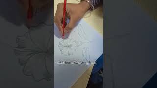 Pencil art  flower sketches Art drawing Artpencilsketchshortsvideo ShrikholSubashofficial1 [upl. by Cleo]