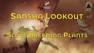 Sansha Lookout and Slave Breeding Plants  Eve Online Exploration Guide [upl. by Braunstein]