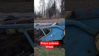 W swoim żywiole Ursus w polu sezon otwarty przygotowanie pod siew warzyw ursus polskawieś [upl. by Sheridan]