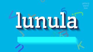 LUNULA  How to pronounce Lunula [upl. by Marcell]