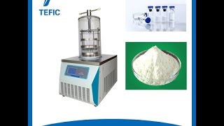 TEFIC Toppress benchtop TF10B vacuum freeze dryerLyophilizer [upl. by Leizahaj693]