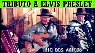 TRIBUTO A ELVIS PRESLEYTRIO DOS AMIGOS [upl. by Derina632]