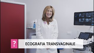 Ecografia transvaginale a cosa serve e quando eseguirla [upl. by Wilscam813]