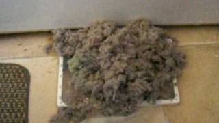 Kenmore Dryer Lint [upl. by Westlund621]