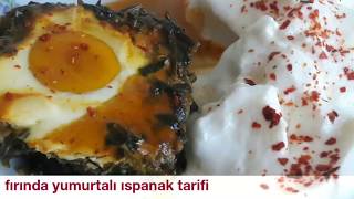 Fırında yumurtalı ıspanak tarifi [upl. by Inacana]