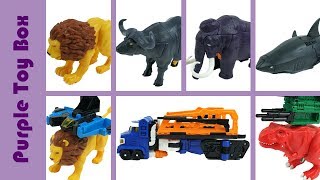 Carbot Animal Transformer And Combination Robot Toys 헬로카봇 옴파로스 섬의 비밀 모음 [upl. by Katie]