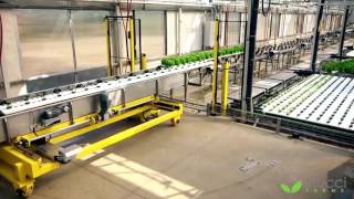 Viscon Hydroponics  Fully Automated Hydroponics System [upl. by Nork]