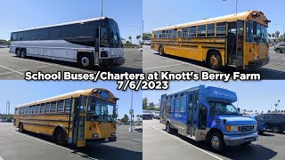 School BusesCharters at Knotts Berry Farm  762023 [upl. by Luoar]