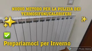 NUOVO METODO PER LA PULIZIA DEI TERMOSIFONI✅️🔝cleaning cleaninghacks puliziedicasa [upl. by Nnaeitak]