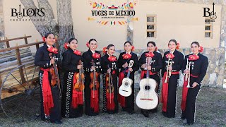 Serenata  Mariachi Femenil Voces de México [upl. by Ahsenauj]