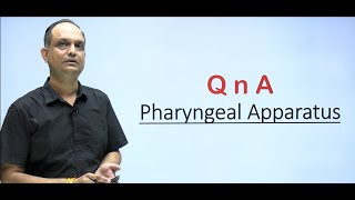 Questions based on pharyngeal arch defects  Embryology [upl. by Nuawtna]