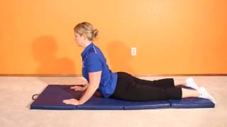 McKenzie Pressup Back Extension Exercise HD [upl. by Aihtibat]