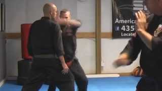 Kenpo Karate Techniques Randall McKay short clip from seminar 2015 [upl. by Gareth]