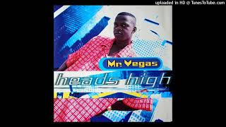 Mr Vegas  Heads High Kill Dem Wid It HQ Acapella [upl. by Rachele]