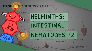 Helminths Intestinal Nematodes Part 2 features clinical importance diagnosis treatment [upl. by Dagna]