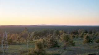 Mogollon Rim Squatch Call [upl. by Aerdnaxela829]