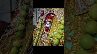 November 12 2024 bivinno saje maa tarabhakti viralvideo maa tara pranamjoy maa kali [upl. by Adnol]