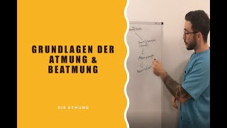 Grundlagen der Atmung und Beatmung  Die Atmung [upl. by Aggri]