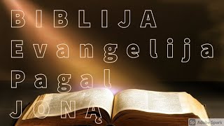 EVANGELIJA PAGAL JONĄ BIBLIJA [upl. by Ecyor]