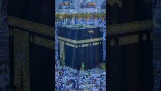 Har sal talab farma mujh ko 🕋 kabba live  Makkah masjid u Haram live 2024 islamicshorts ytshorts [upl. by Naellij91]