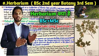 What Is herbarium  Method of Preparation of Herbarium Specimen  BSc 2nd Year Botany 3rd Semester [upl. by Velma]