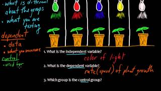 Experiments Explained Clear and Simple Learn the Basics [upl. by Walley]