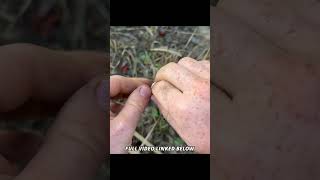 How To Make STRONG Cattail Cordage survival bushcraft survivaltips camping outdoors nature [upl. by Bronwen]